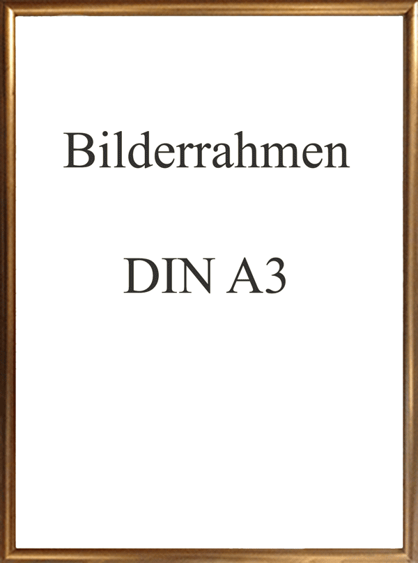 rahmen_silber_mit_bild_und_schrift_a3.gif
